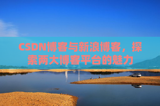 CSDN博客与新浪博客，探索两大博客平台的魅力